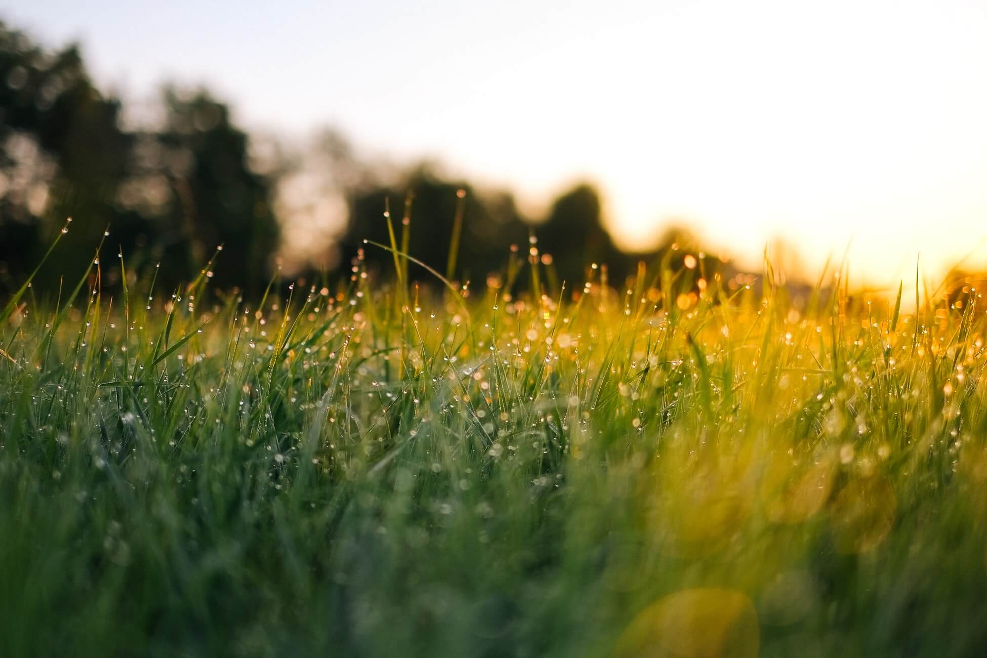Sustainable packaging solutions for a better tomorrow.